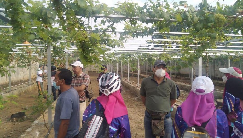 Bersepeda, Wali Kota dan Wakil Wali Kota Metro Kunjungi Kampung Anggur