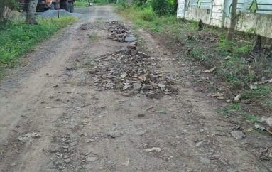 Miris, Jalan Berada di Dusun Sidorukun Tak Tersentuh Pembangunan
